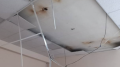 Shevchenko University damaged in night drone attack