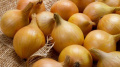 Onion. Photo by EastFruit