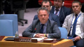 Kyslytsia criticizes UN General Assembly, where they voted for Horse Day