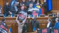 Poroshenko's MP used force against Servant of the People MP Kamelchuk. "Victim’s" statement