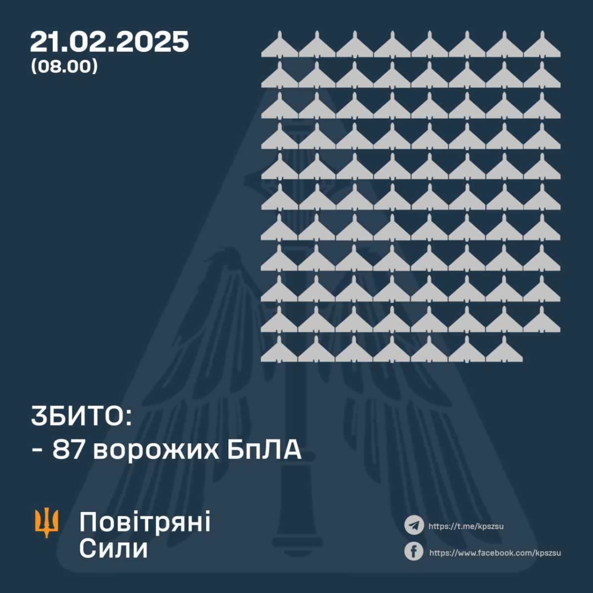 Інфографіка: Повітряні Сили ЗС України / Air Force of the Armed Forces of Ukraine