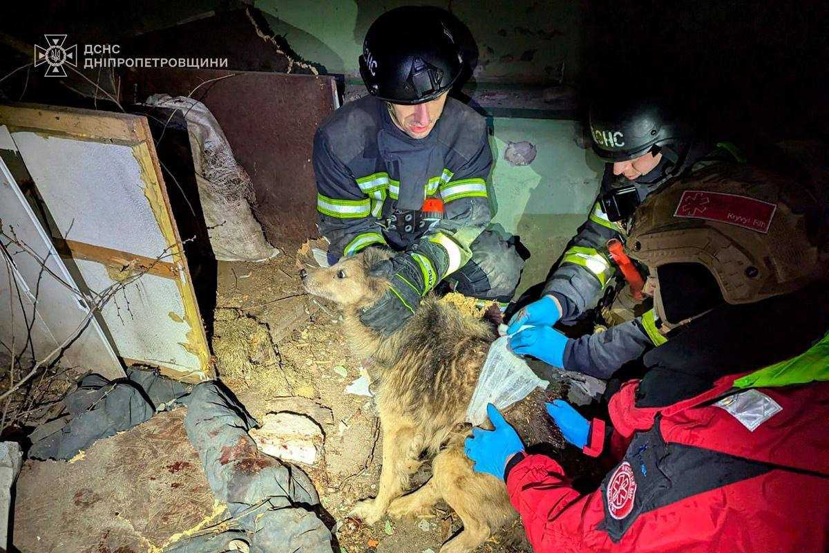 Consequences of russian attack on Kryvyi Rih. Photo: SESU