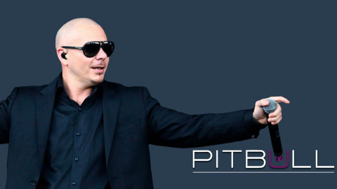 Pitbull. Фото: dailymusicroll