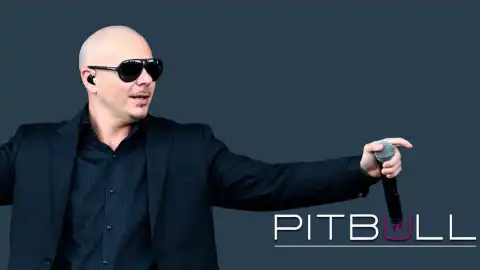 Pitbull. Фото: dailymusicroll