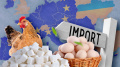 4 EU countries reduce food imports from Ukraine by 43%