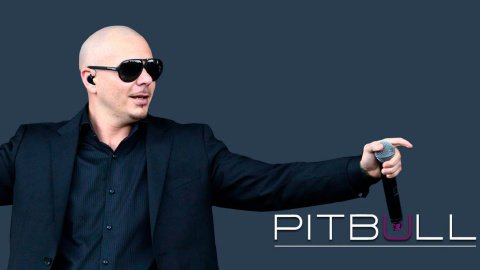 Pitbull. Фото: dailymusicroll