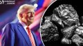 Ukraine has huge amount of land that we need – Trump