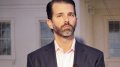Rich fled Ukraine, 50% of Bugatti and Ferrari in Monaco have Ukrainian license plates - Trump's son