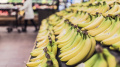 Banana Import Up 17.1% To USD 14.2 Million, Export Up Twice To USD 0.002 Million In May