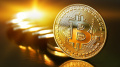 Bitcoin Appreciates By 5.2% To USD 11,600