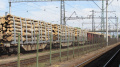 European Business Association Committee Head Tsyprik: No Sense In Imposing Export Duties In Place Of Moratorium On Timber Export