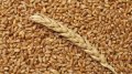 Ministry Of Supply And Internal Trade Of Egypt: Nibulon To Invest USD 2 Billion In Construction Of Granaries In Nile Delta