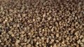 Weighted Average Buckwheat Prices Down 7% To UAH 18.4 Per Kilo November 10 - December 11