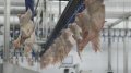 Ukraine Resumes Poultry Meat Supplies To EU