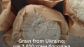 Ukraine supplies almost 4,000 tons of flour to Syria – Sybiha