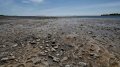 Toxic elements leaked from bottom of reservoir due to undermining of Kakhovka HEPP by russians - study