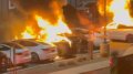 Elon Musk calls Tesla showroom arson "terrorism"