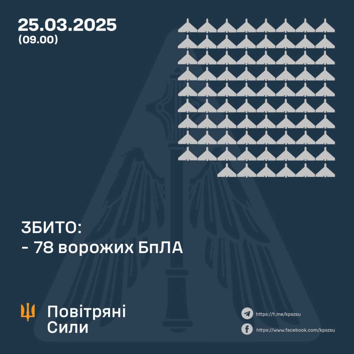 Інфографіка: Повітряні Сили ЗС України / Air Force of the Armed Forces of Ukraine