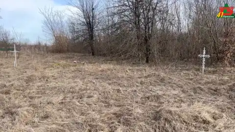 Старое кладбище в Черниговской области. Скриншот видео