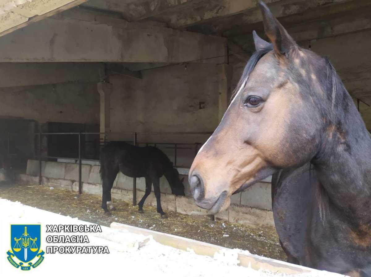 Фото: Харківська обласна прокуратура