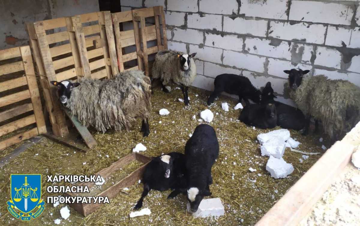 Фото: Харківська обласна прокуратура