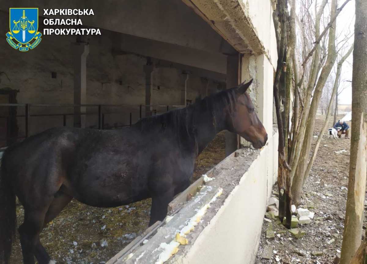 Фото: Харківська обласна прокуратура