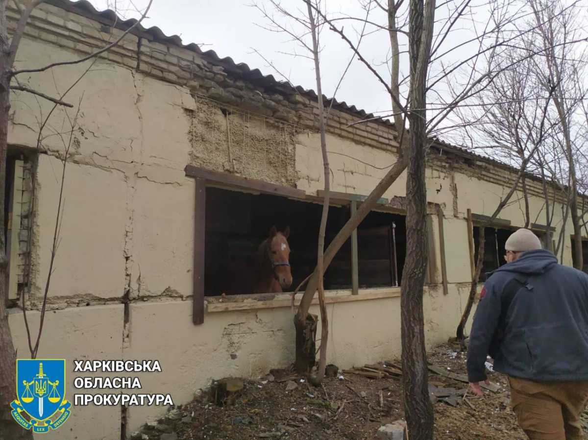 Фото: Харківська обласна прокуратура