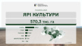 Over 550,000 hectares of grain already sown in Ukraine