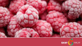 Ukraine becomes the world leader in frozen raspberry exports