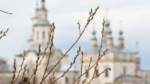 Весна. Фото: pixabay