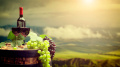 Trump tariffs to hit French wine industry