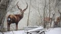 Cabinet Allocates Land Plots For Construction Of Wind Power Station In Chornobyl Zone