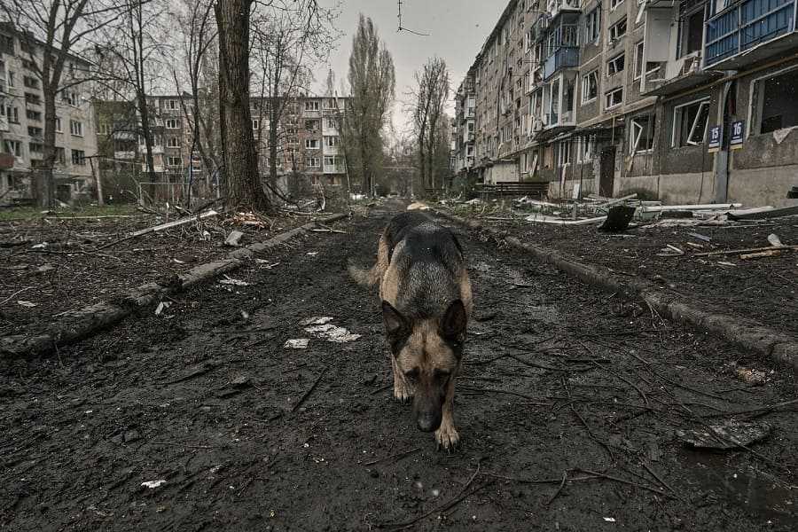 Фото: Instargam / Костянтин Ліберов.