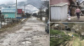 "The Forest Republic": How Logging Interests in Zakarpattia Are Blocking Investment Projects to Keep Cutting Down Trees