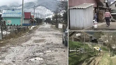 "The Forest Republic": How Logging Interests in Zakarpattia Are Blocking Investment Projects to Keep Cutting Down Trees