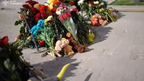 Кадр видео
