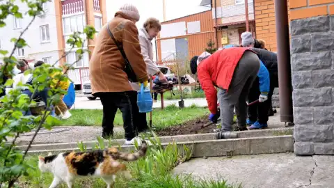 Толока в Чернигове
