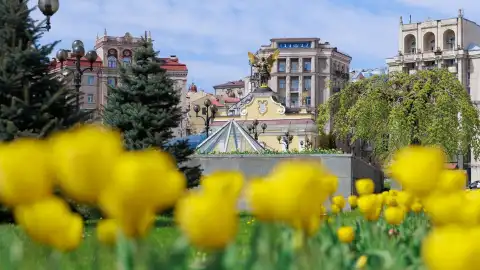 Фото: КГГА