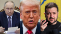 Trump pressuring Ukraine to end war, avoiding increasing pressure on russia – media