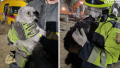 They were under rubble for over 20 hours. 2 cats found at site of strike in Kyiv