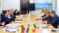 Stefanishyna discusses Ukraine's EU accession with Irish and Lithuanian government officials