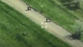 Defense Intelligence shows how they are destroying russians and their equipment on front