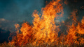 Fires constantly break out on dried-up bottom of Kakhovka reservoir, smoke pollutes air -