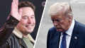 Musk and Trump Secretary brawl during White House argument - Washington Post