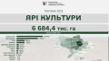 Sowing continues in Ukraine: farmers already sown 3.2 million hectares of spring grain and leguminous crops