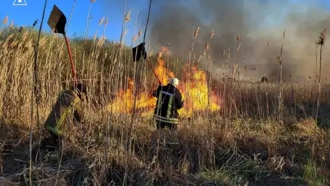 Ликвидация пожара. Фото: ГСЧС Волыни