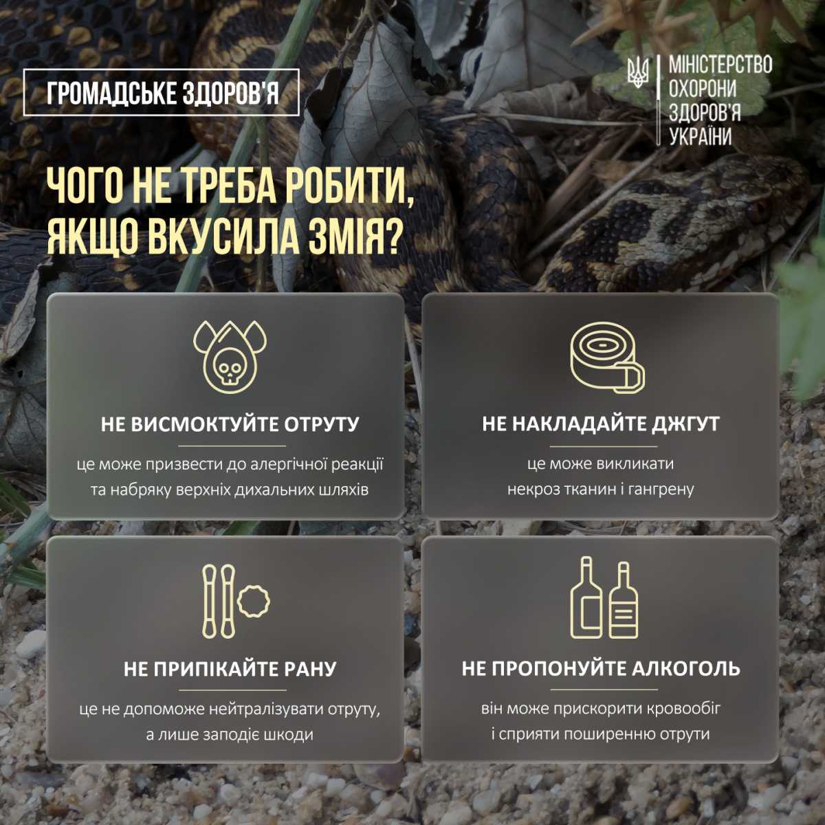 Інфографіка: МОЗ