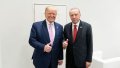 Trump wants to involve Erdogan in peaceful settlement of war between Ukraine and russia