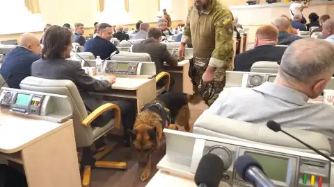Проверка помещения облсовета. Скриншот: видео
