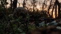 Russian army most actively storming 2 axes. What is situation on front?